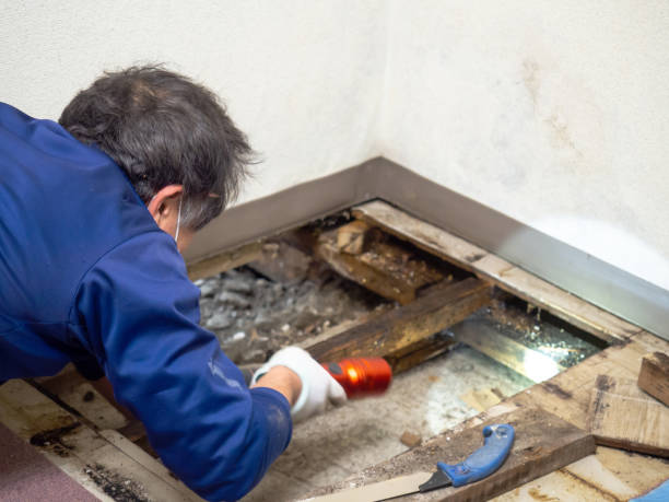 Certified Mold Removal in Santa Fe, NM