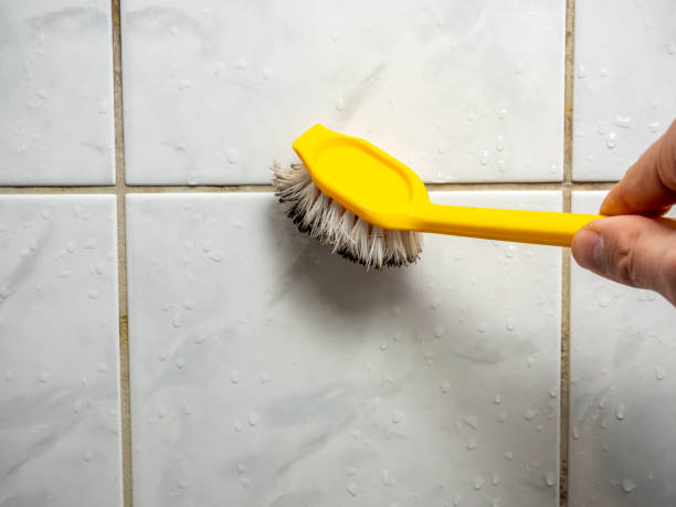 Best Residential Mold Removal  in Santa Fe, NM