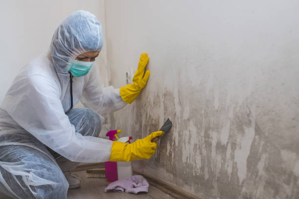 Best Emergency Mold Removal  in Santa Fe, NM