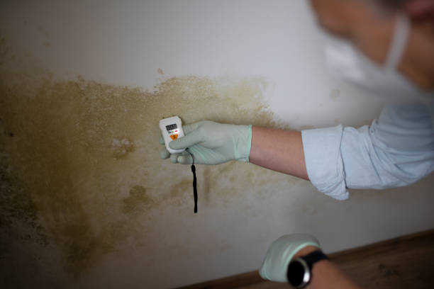 Best Mold Testing  in Santa Fe, NM