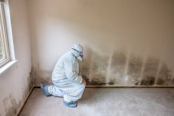 Best Mold Removal Process  in Santa Fe, NM